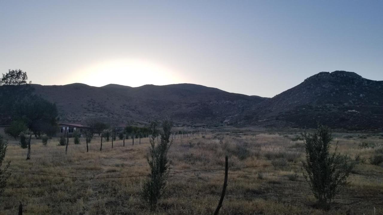 אנסנאדה Cabanas Los Laureles Ruta Del Vino Bc מראה חיצוני תמונה